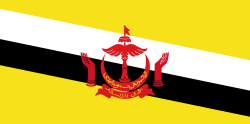 Brunei_Flag.png