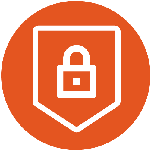 RHIPE-Icons-Whitekey-Orange2_Security.png